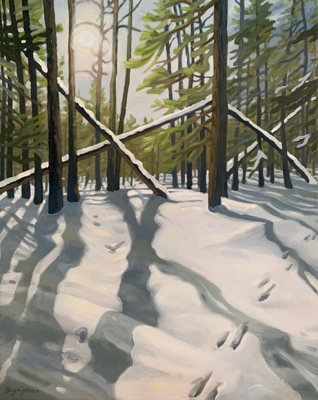 Rhian Brynjolson, 2024 Boreal Shores Art Tour