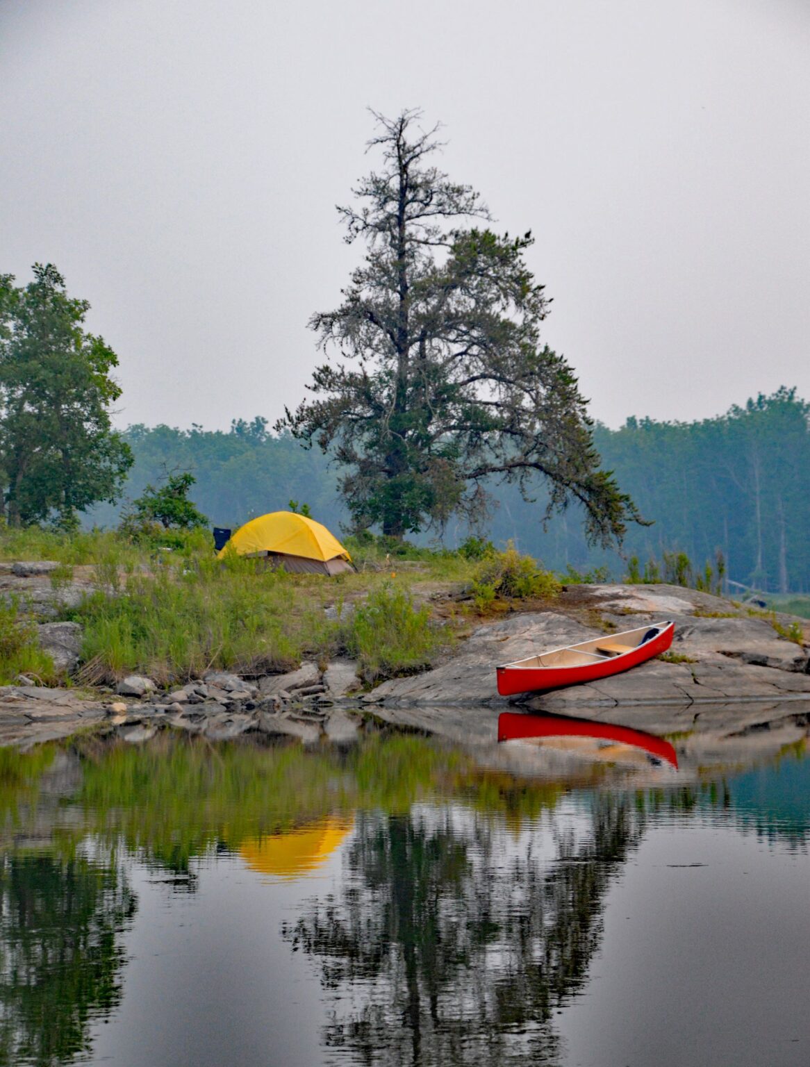 Boreal Shores Art Tour